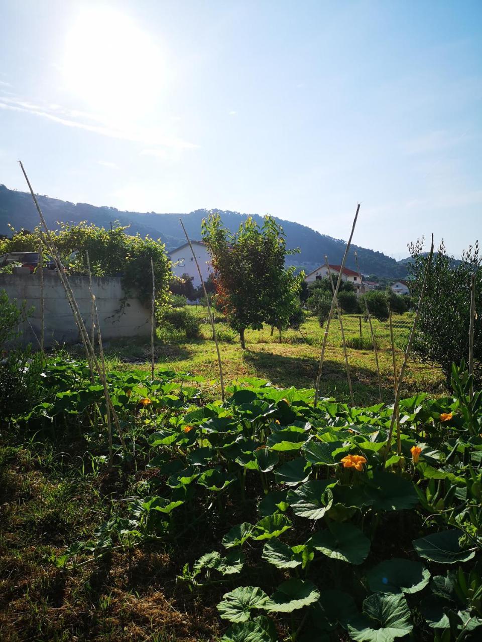 Apartment Zekija Barbat na Rabu ภายนอก รูปภาพ